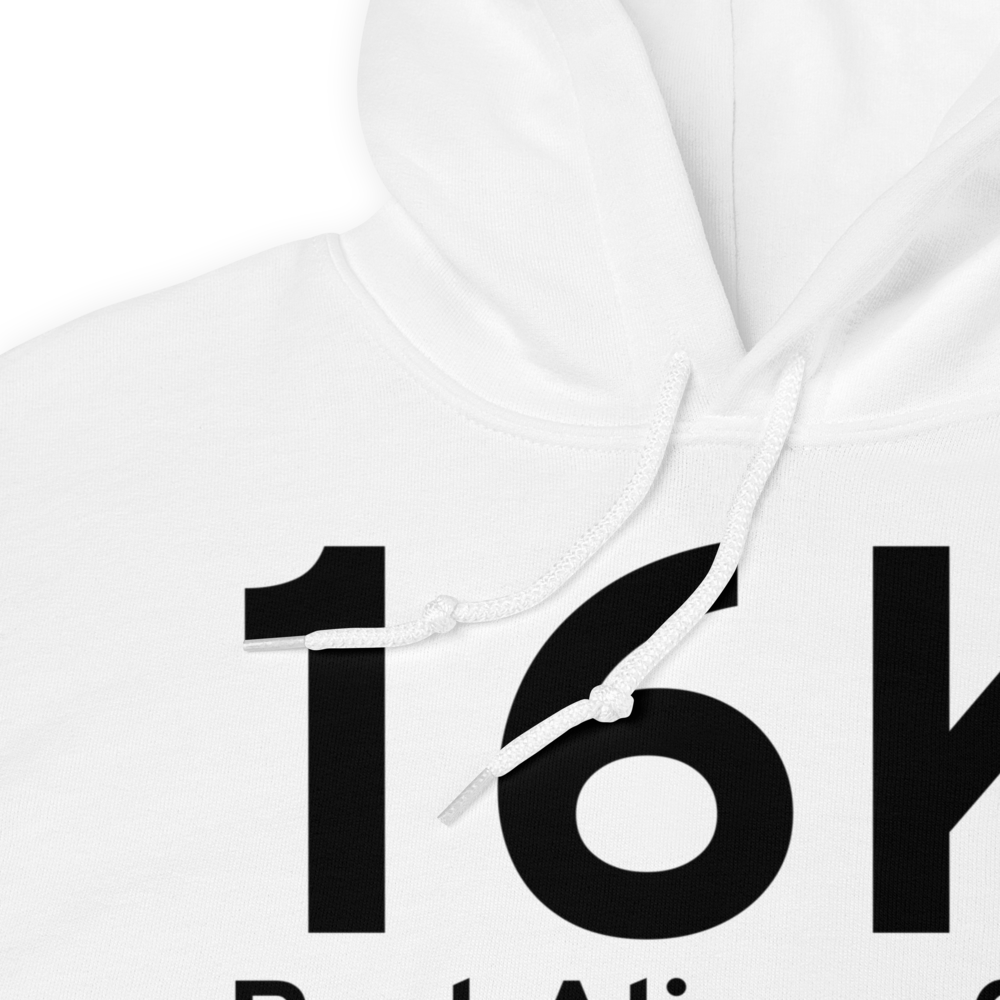 Port Alice (16K) Airport Hoodie Sweatshirt 