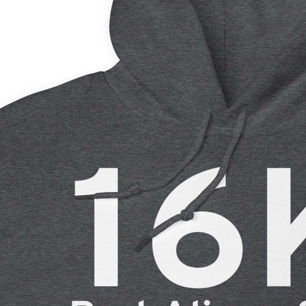 Port Alice (16K) Airport Hoodie Sweatshirt 