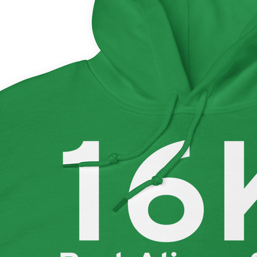 Port Alice (16K) Airport Hoodie Sweatshirt 