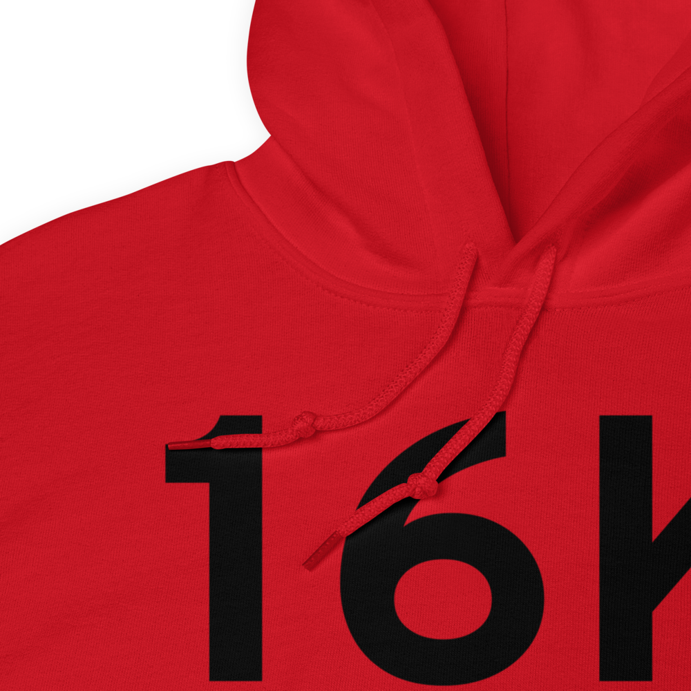 Port Alice (16K) Airport Hoodie Sweatshirt 