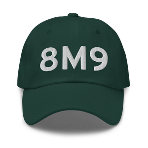 Providence (K8M9) Airport Hat
