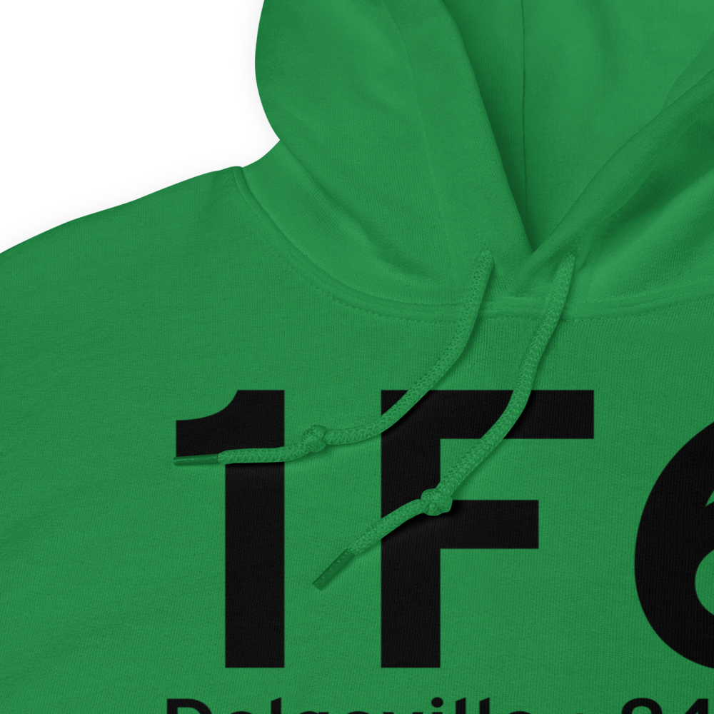 Dolgeville (1F6) Airport Hoodie Sweatshirt 