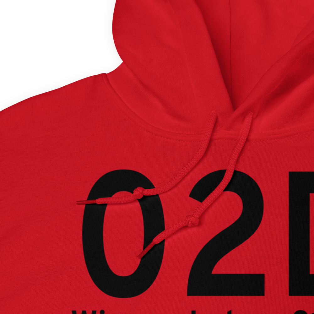 Winona Lake (08IN) Airport Hoodie Sweatshirt 