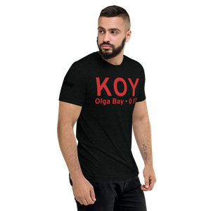 Olga Bay (KOY) Airport Tri-blend T-Shirt