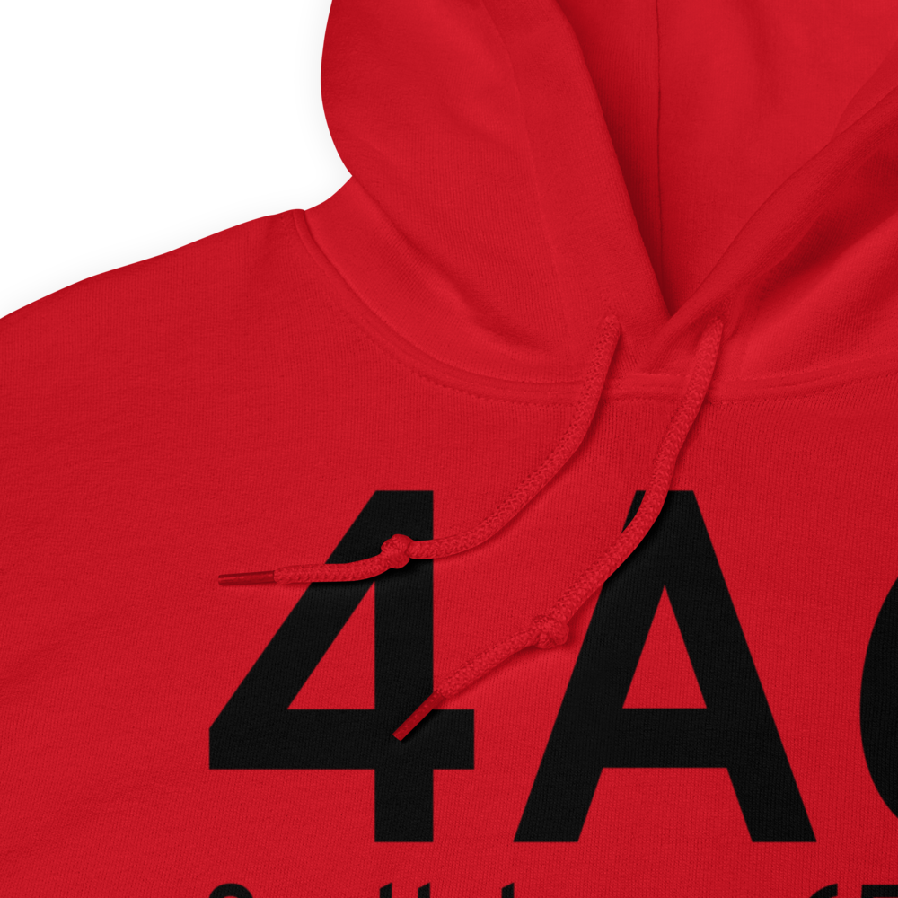 Scottsboro (K4A6) Airport Hoodie Sweatshirt 