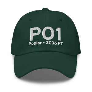 Poplar (PO1) Airport Hat