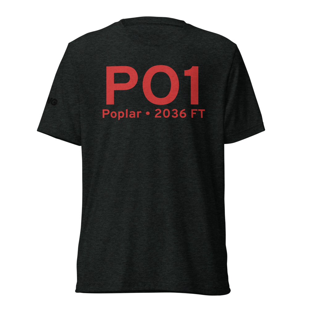 Poplar (PO1) Airport Tri-blend T-Shirt 