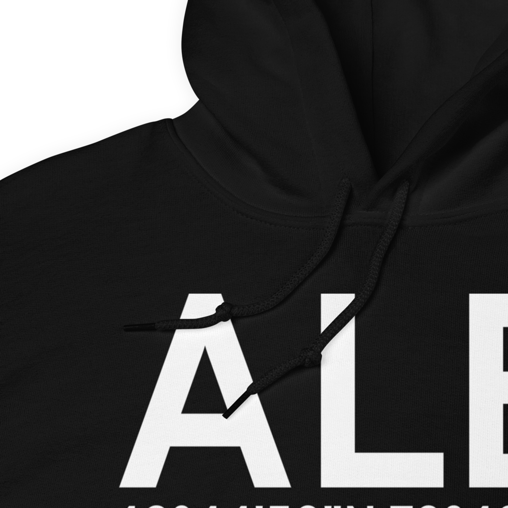 Albany (KALB) Airport Hoodie Sweatshirt 