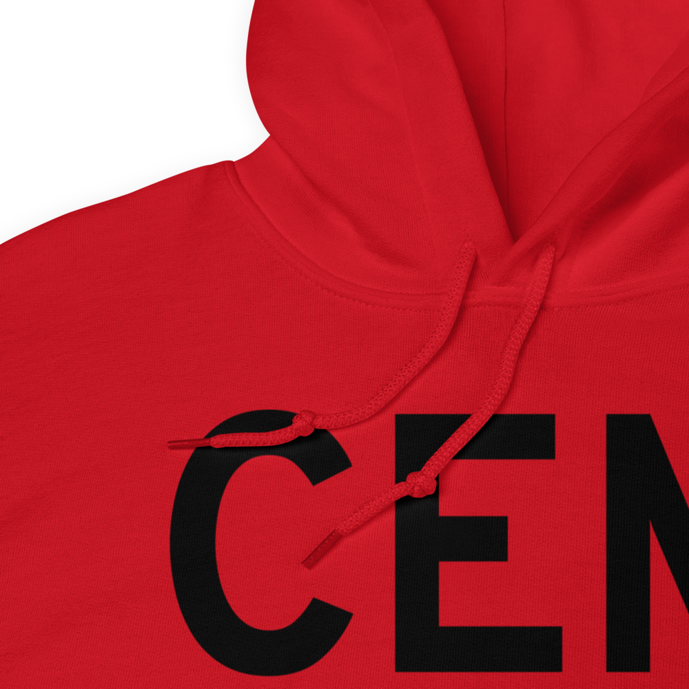 Central (PACE) Airport Hoodie Sweatshirt 