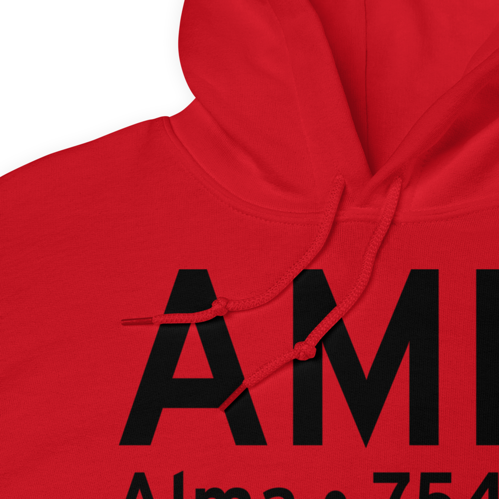 Alma (KAMN) Airport Hoodie Sweatshirt 