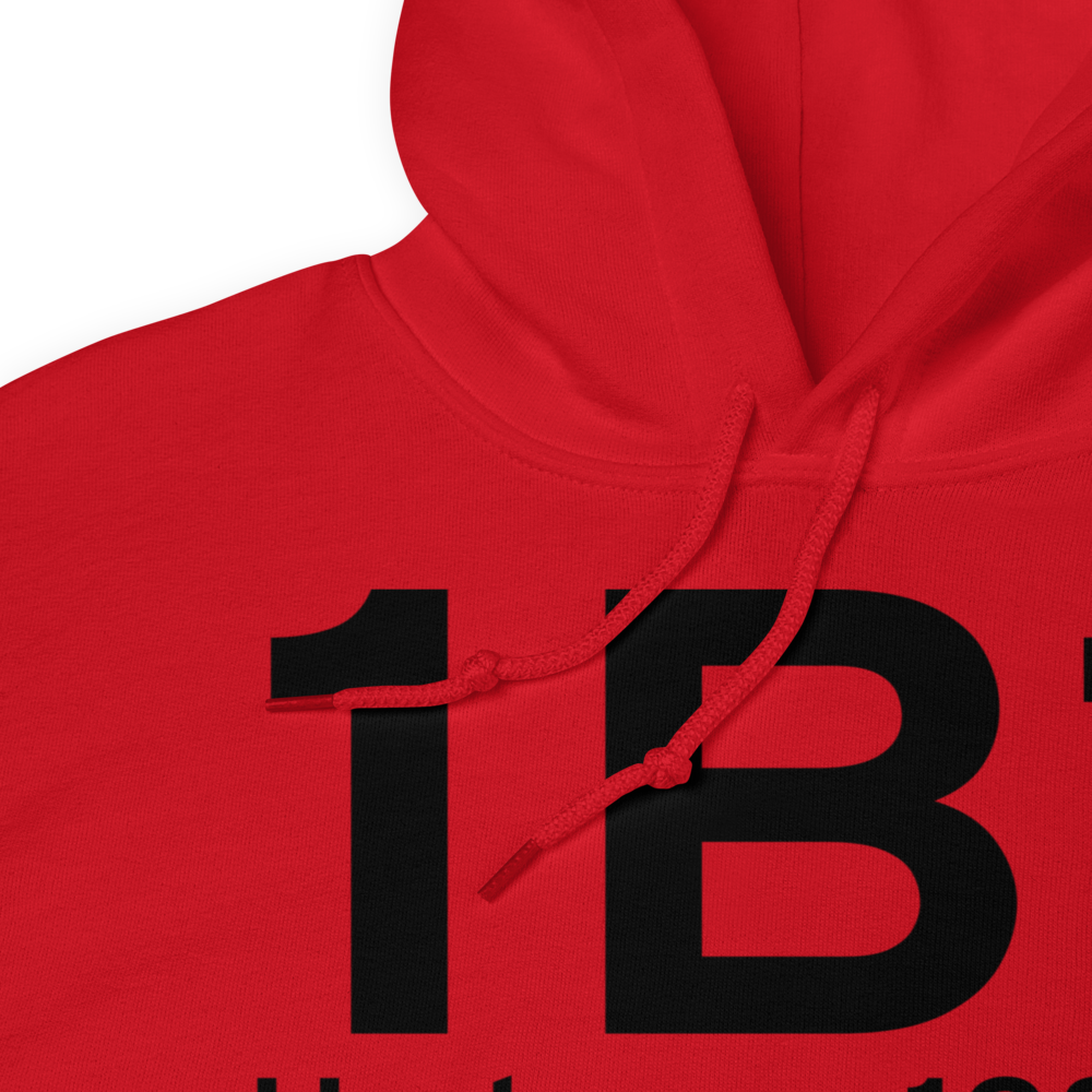 Hudson (K1B1) Airport Hoodie Sweatshirt 