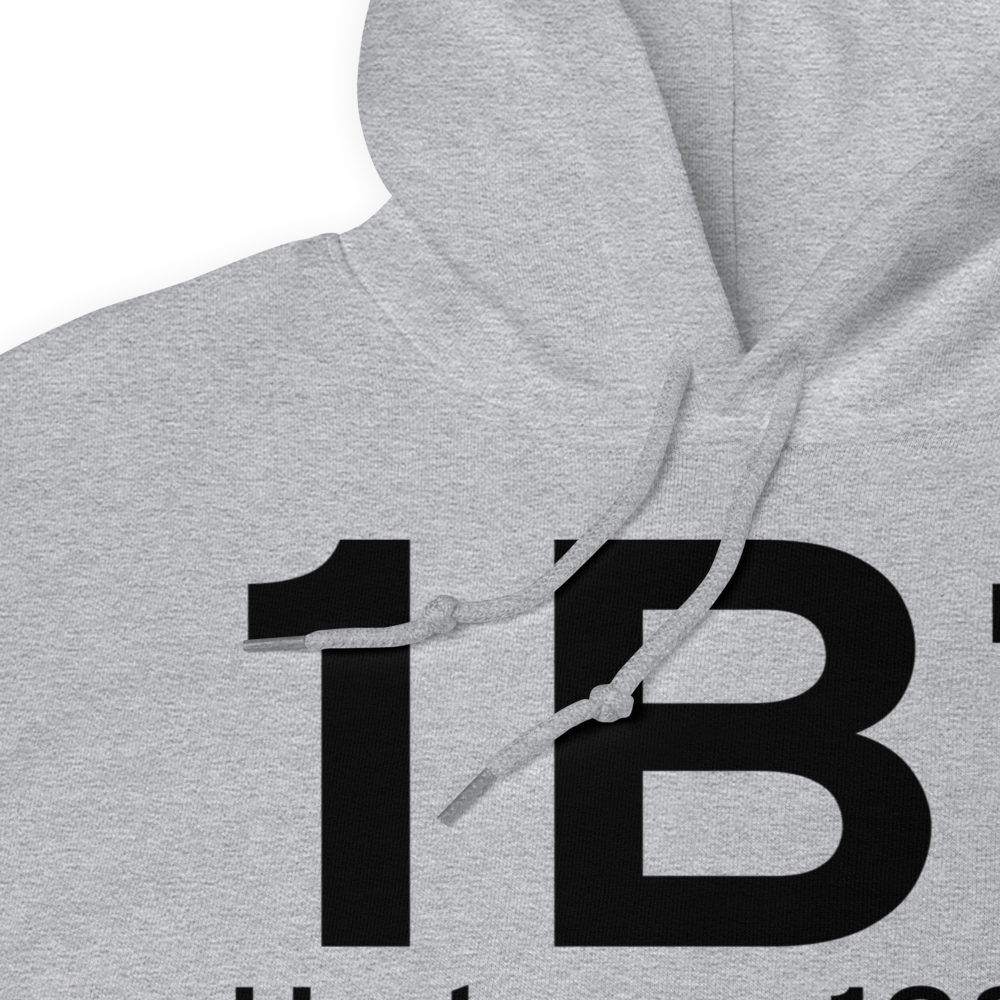 Hudson (K1B1) Airport Hoodie Sweatshirt 