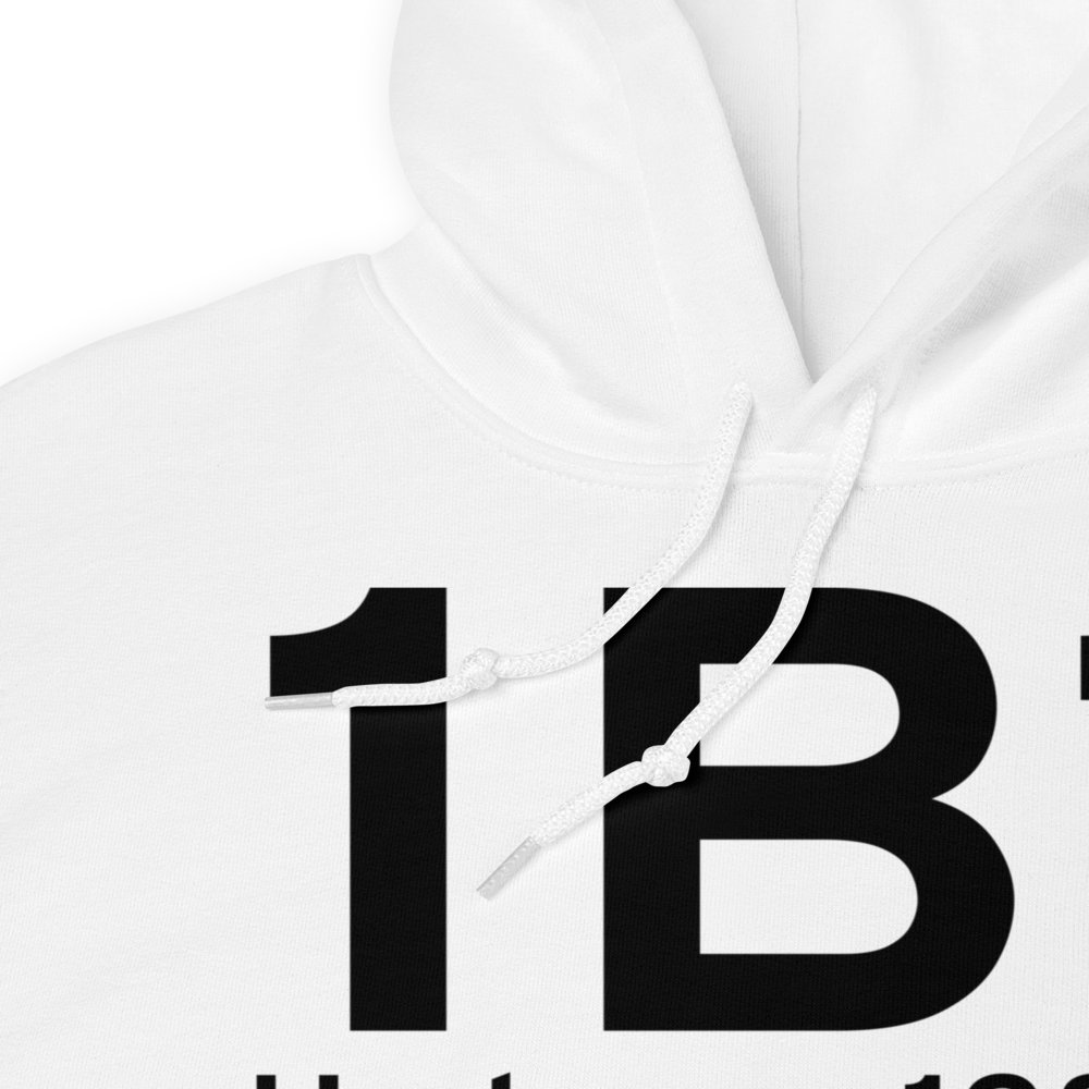 Hudson (K1B1) Airport Hoodie Sweatshirt 