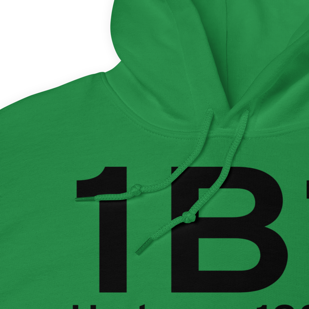 Hudson (K1B1) Airport Hoodie Sweatshirt 