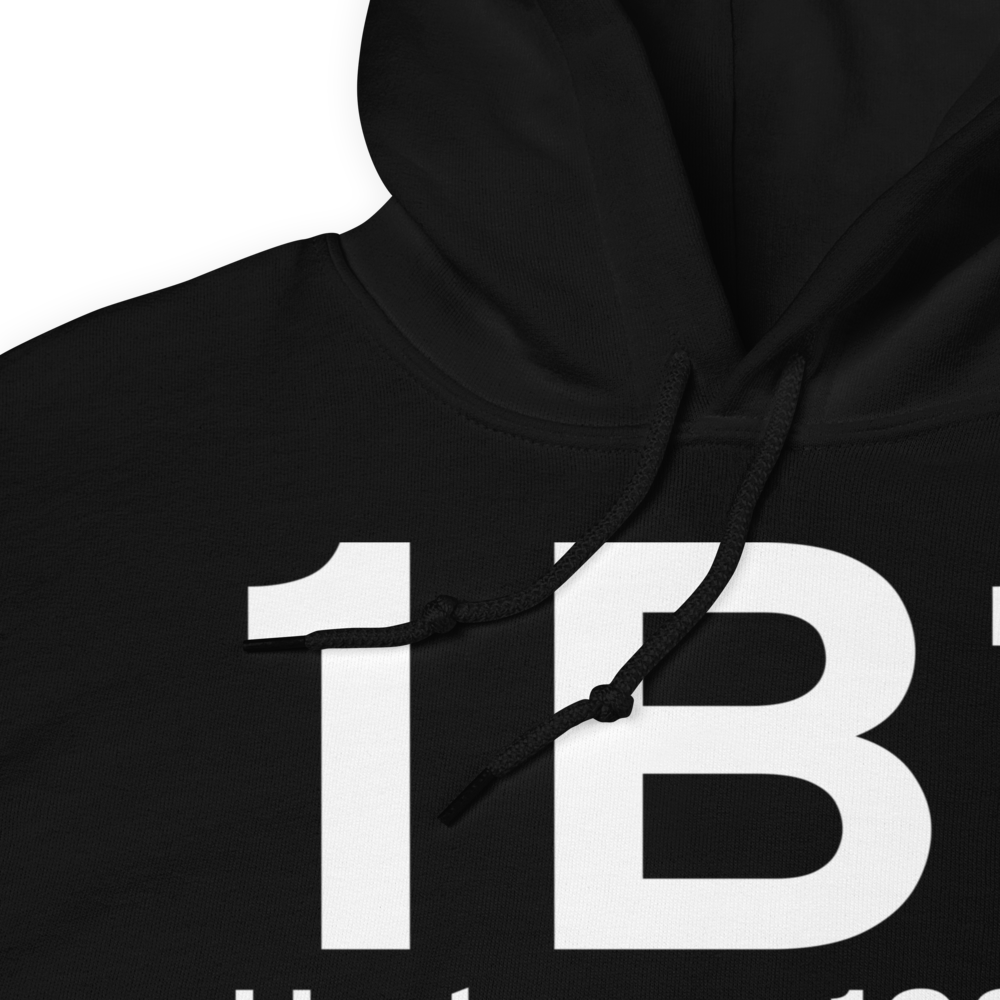 Hudson (K1B1) Airport Hoodie Sweatshirt 