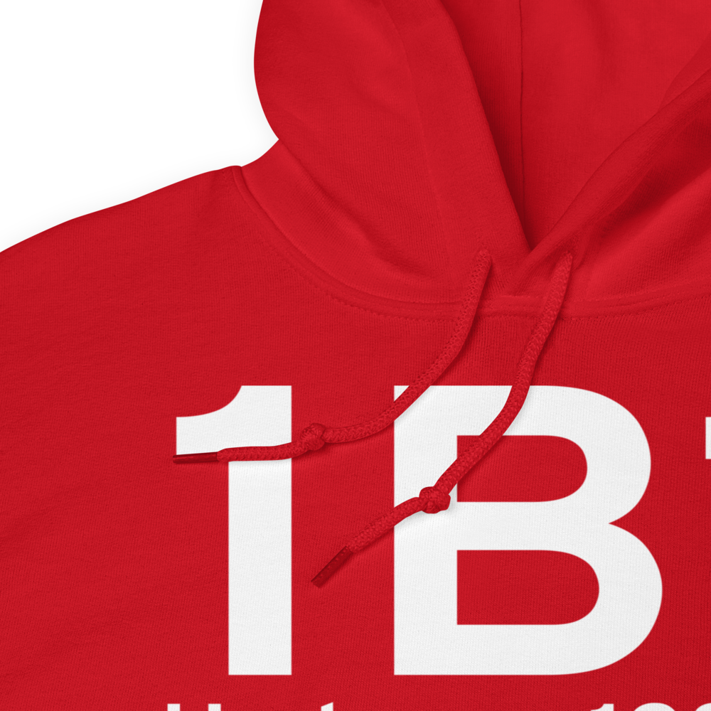 Hudson (K1B1) Airport Hoodie Sweatshirt 