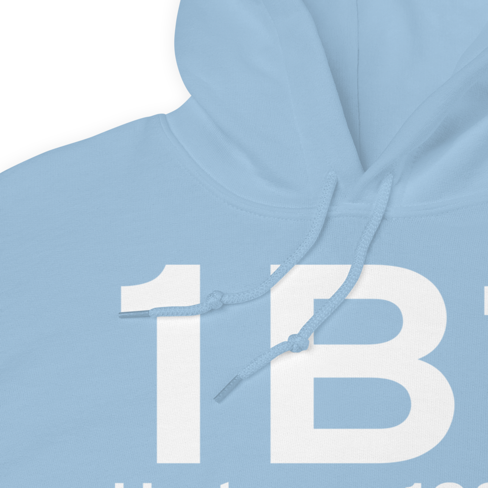 Hudson (K1B1) Airport Hoodie Sweatshirt 