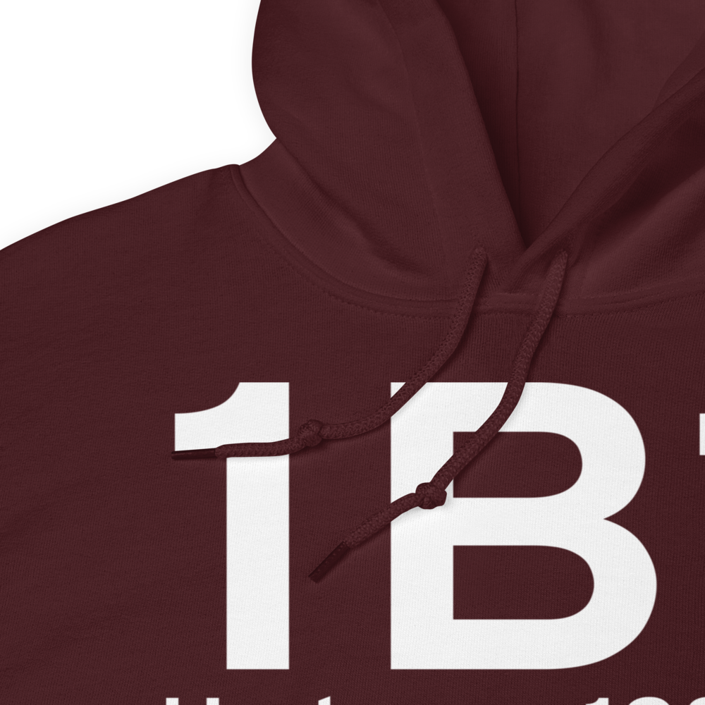 Hudson (K1B1) Airport Hoodie Sweatshirt 