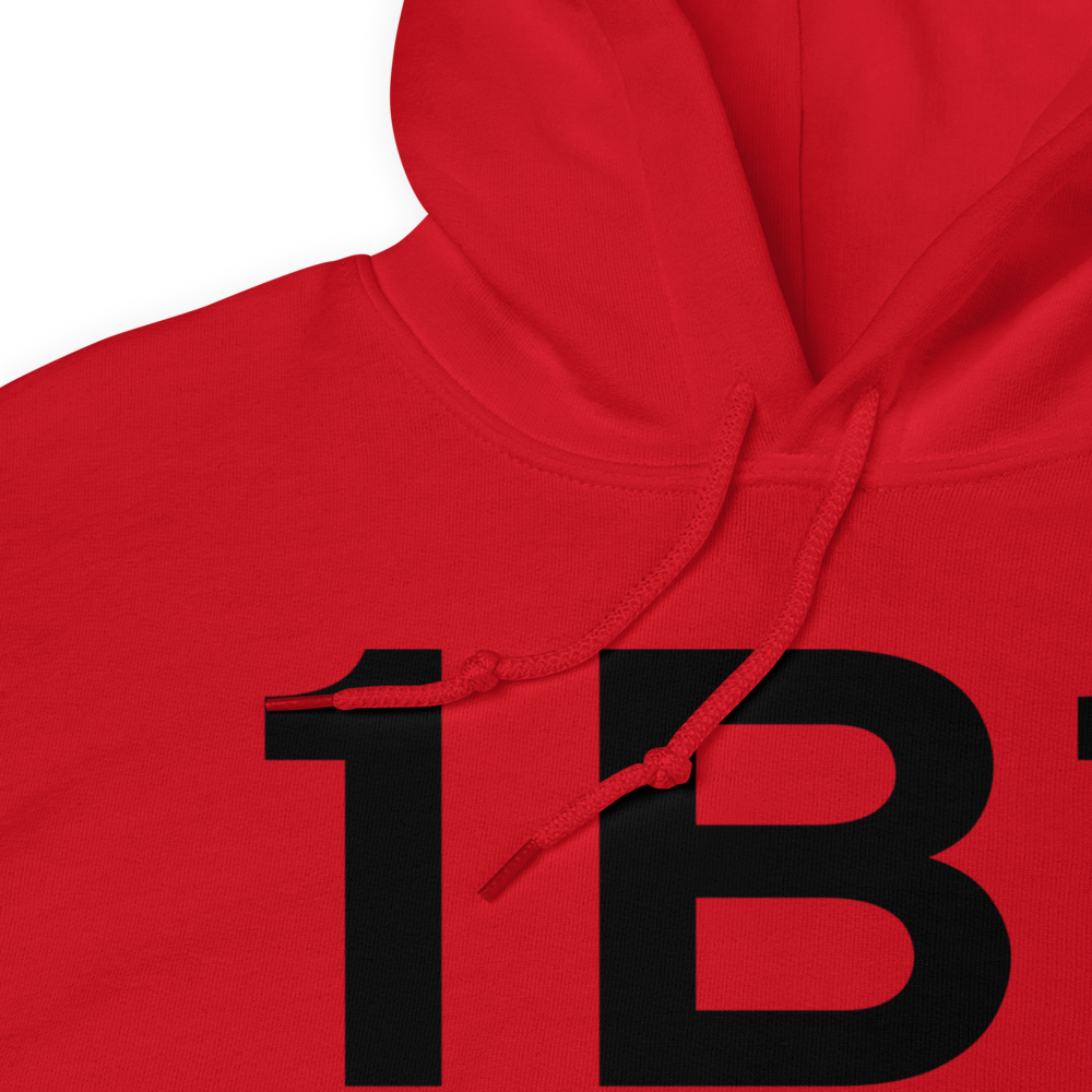 Hudson (K1B1) Airport Hoodie Sweatshirt 