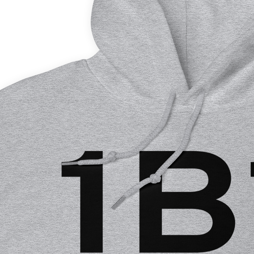 Hudson (K1B1) Airport Hoodie Sweatshirt 