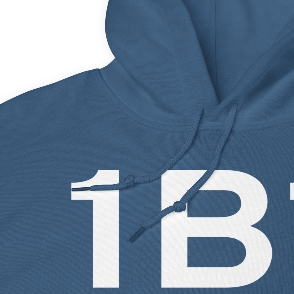 Hudson (K1B1) Airport Hoodie Sweatshirt 