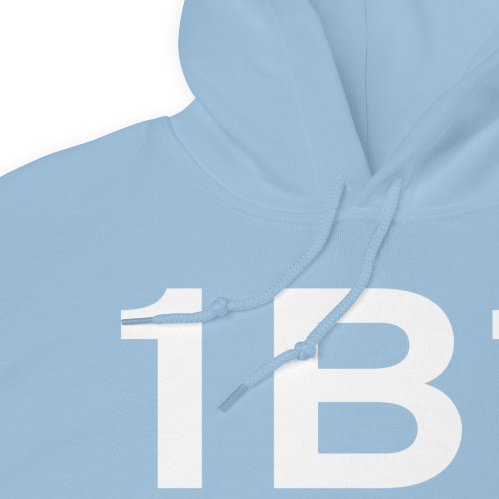 Hudson (K1B1) Airport Hoodie Sweatshirt 