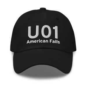 American Falls (KU01) Airport Hat