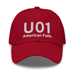 American Falls (KU01) Airport Hat