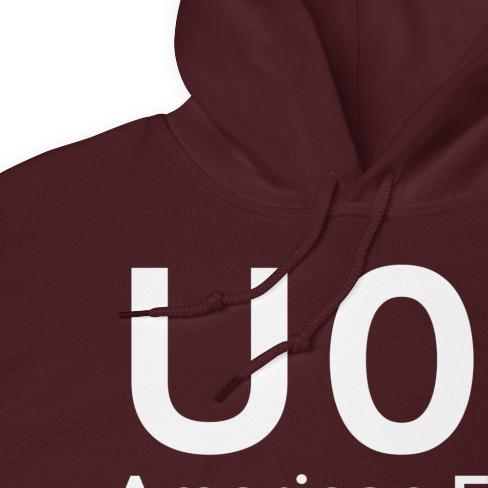 American Falls (KU01) Airport Hoodie Sweatshirt 