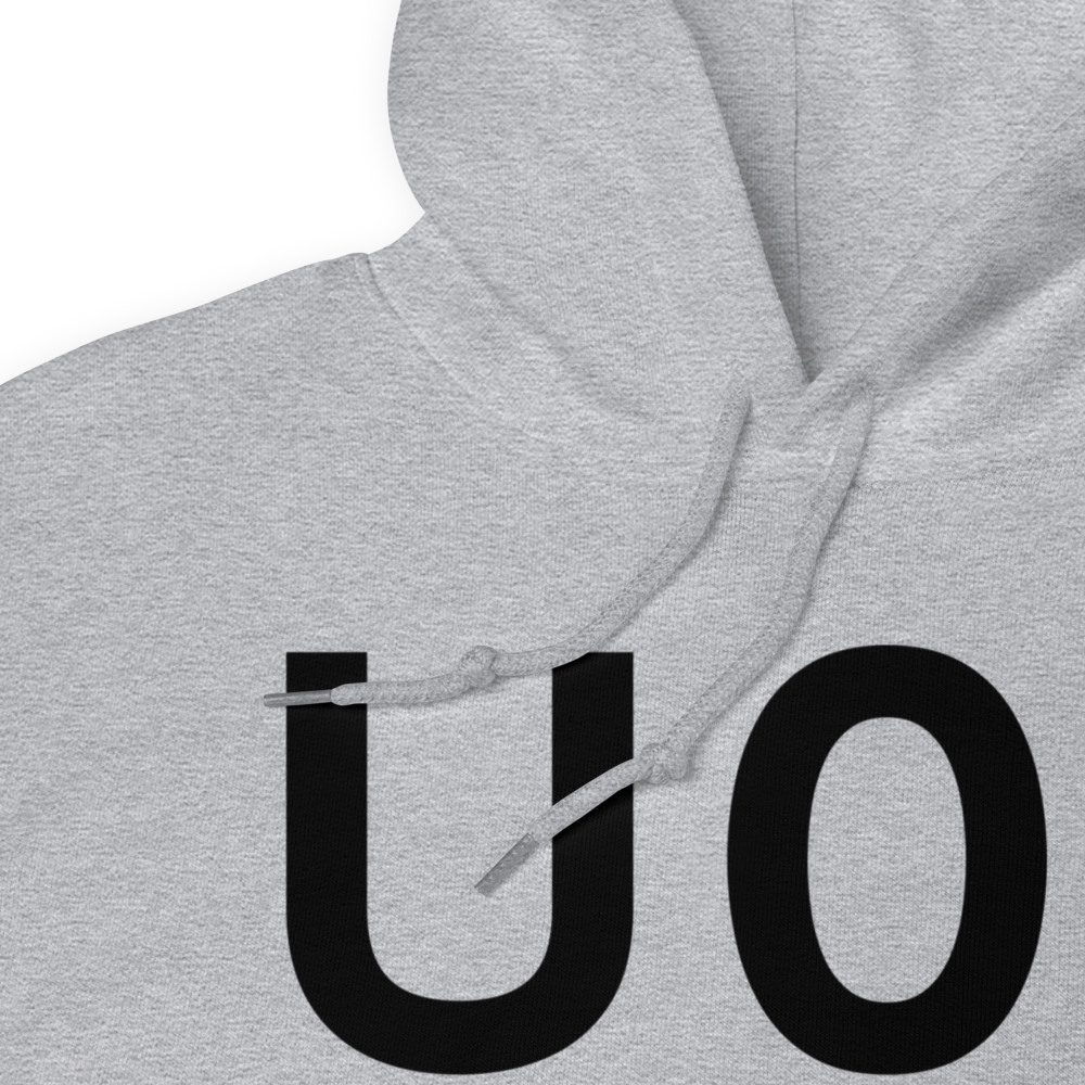 American Falls (KU01) Airport Hoodie Sweatshirt 