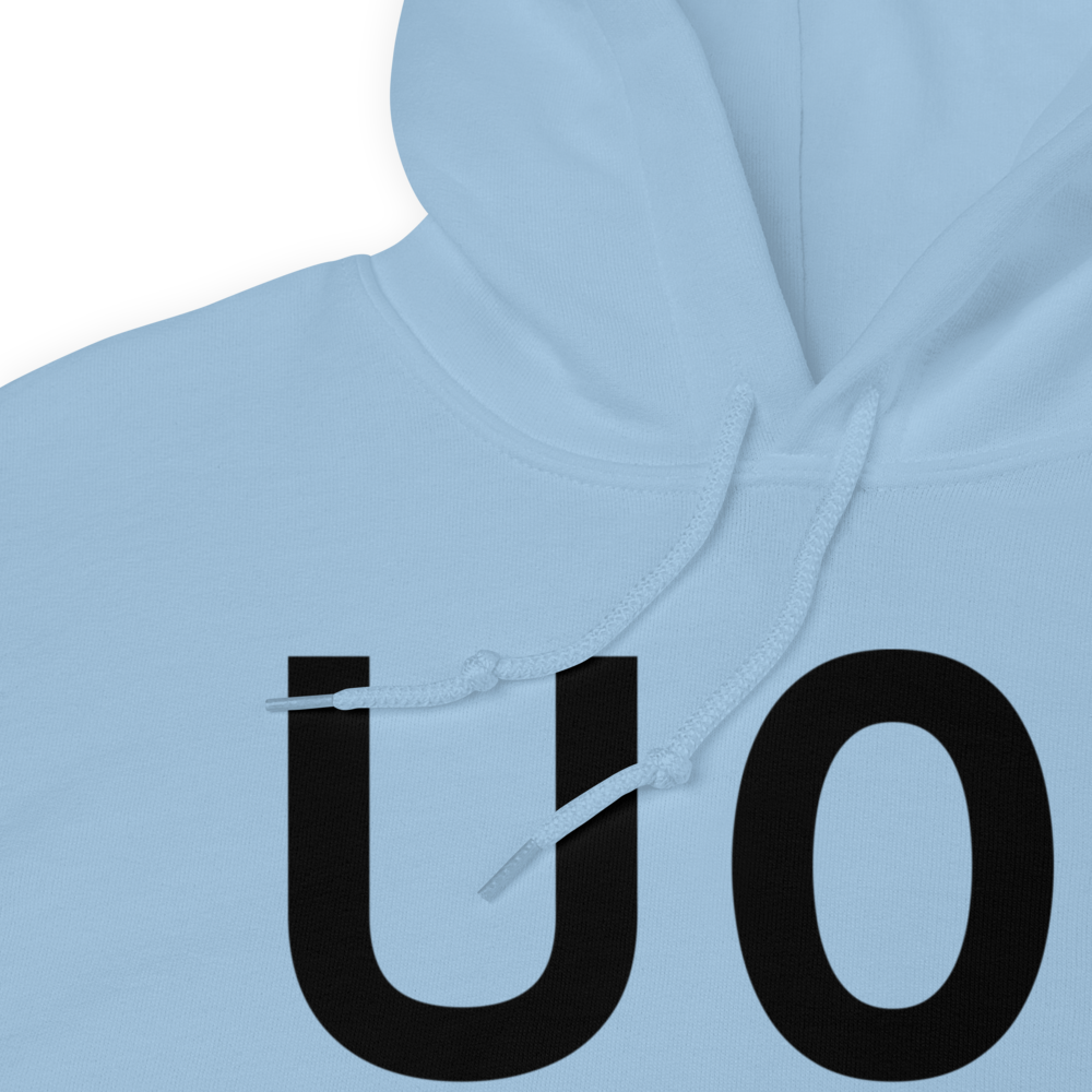 American Falls (KU01) Airport Hoodie Sweatshirt 