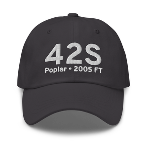 Poplar (K42S) Airport Hat