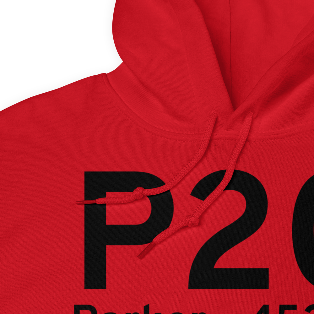 Parker (KP20) Airport Hoodie Sweatshirt 