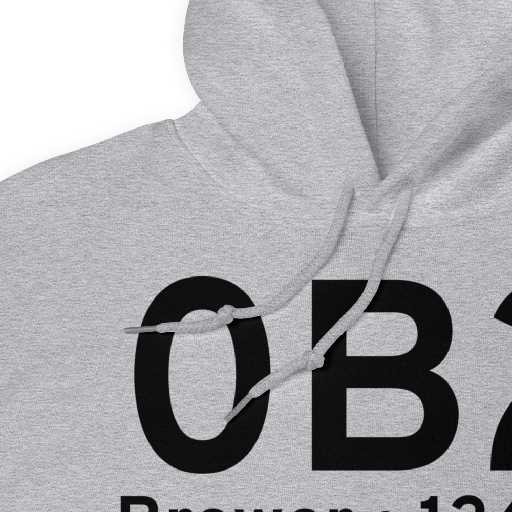 Brewer (0B2) Airport Hoodie Sweatshirt 