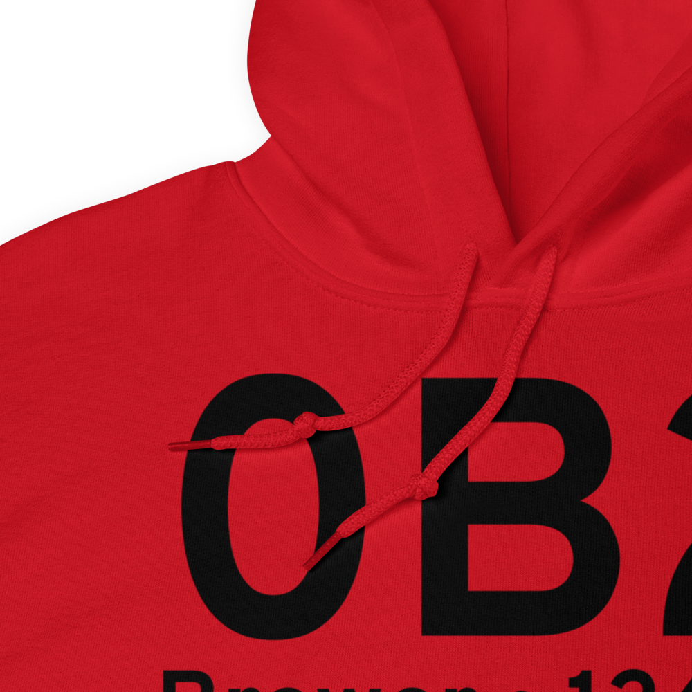 Brewer (0B2) Airport Hoodie Sweatshirt 