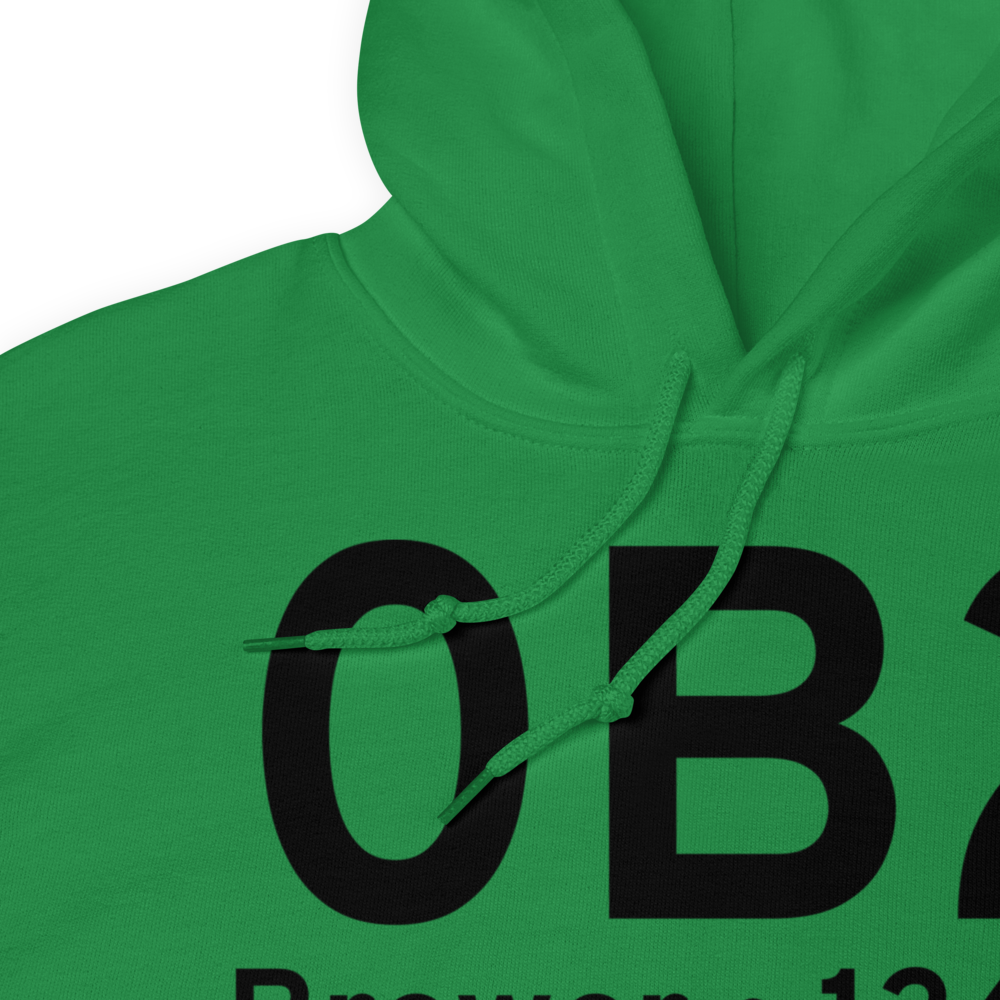Brewer (0B2) Airport Hoodie Sweatshirt 
