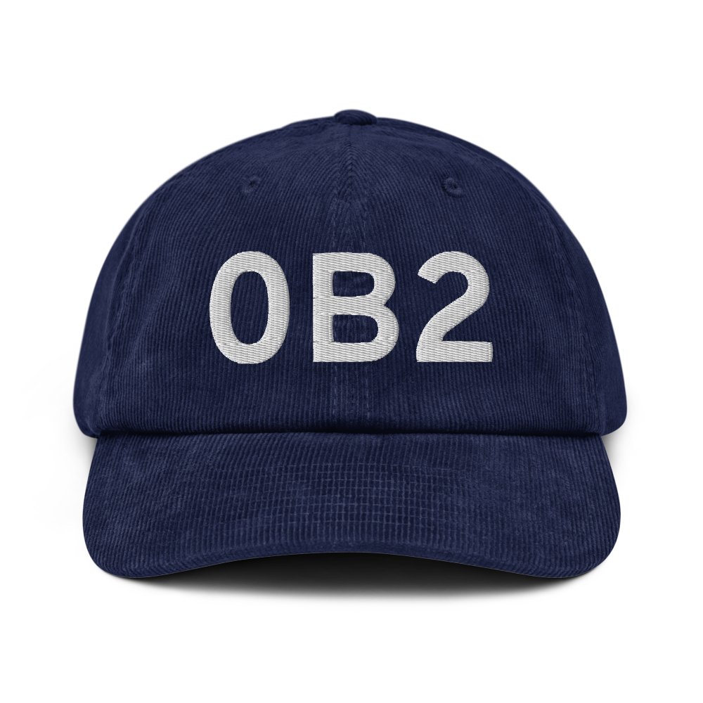 Brewer (0B2) Airport Hat 