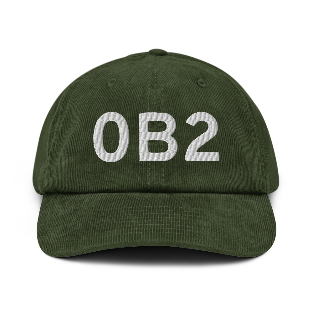 Brewer (0B2) Airport Hat 