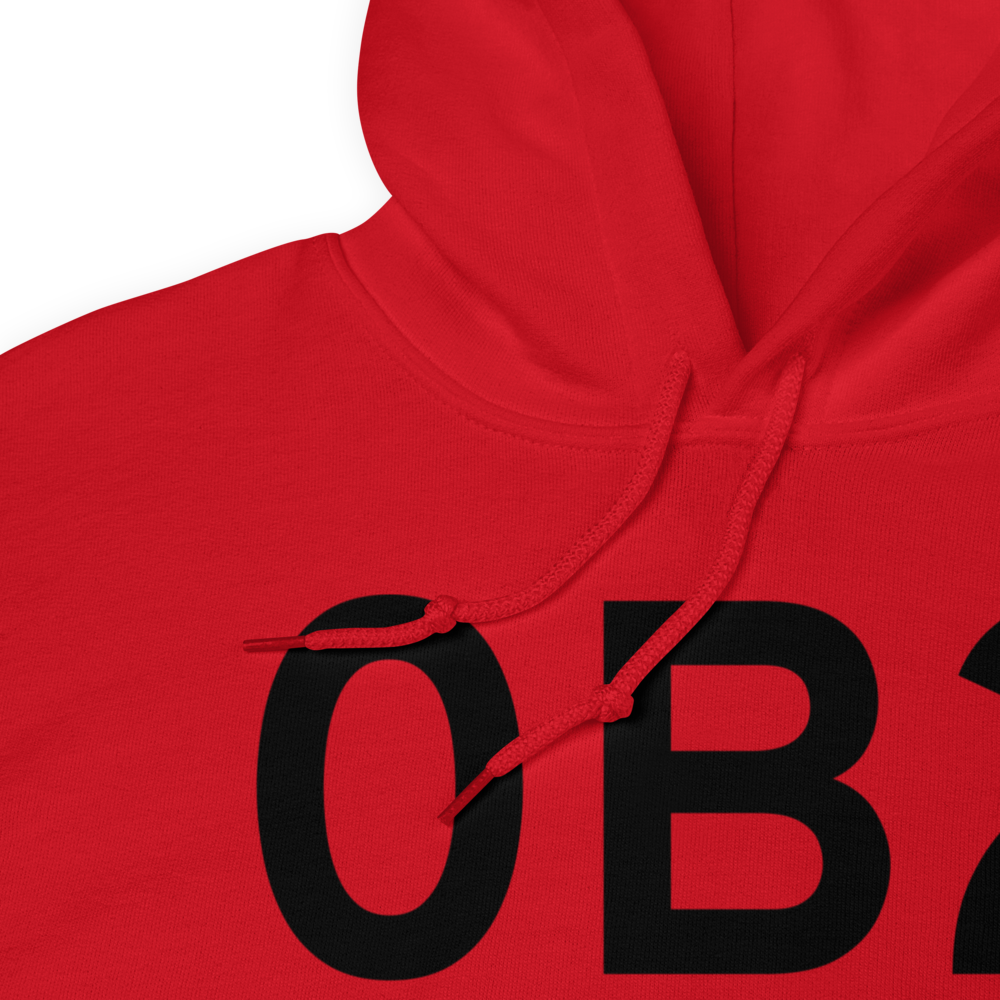 Brewer (0B2) Airport Hoodie Sweatshirt 