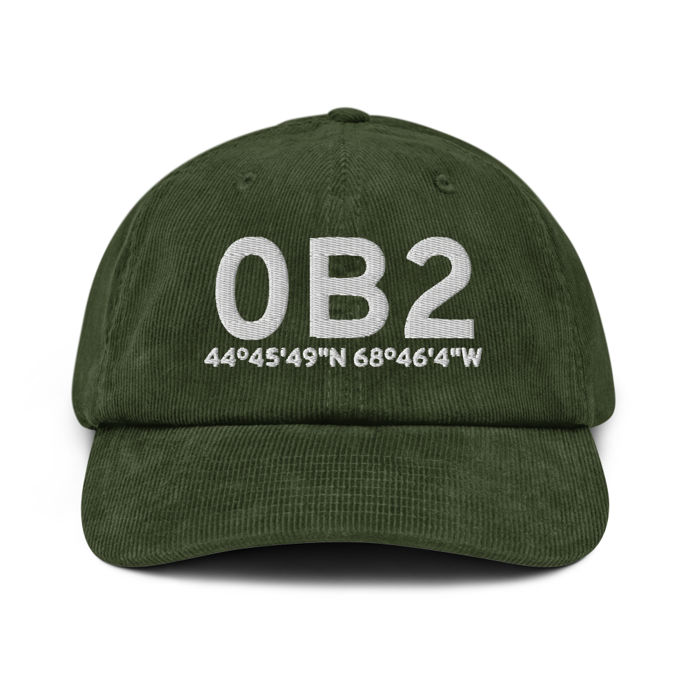 Brewer (0B2) Airport Hat 