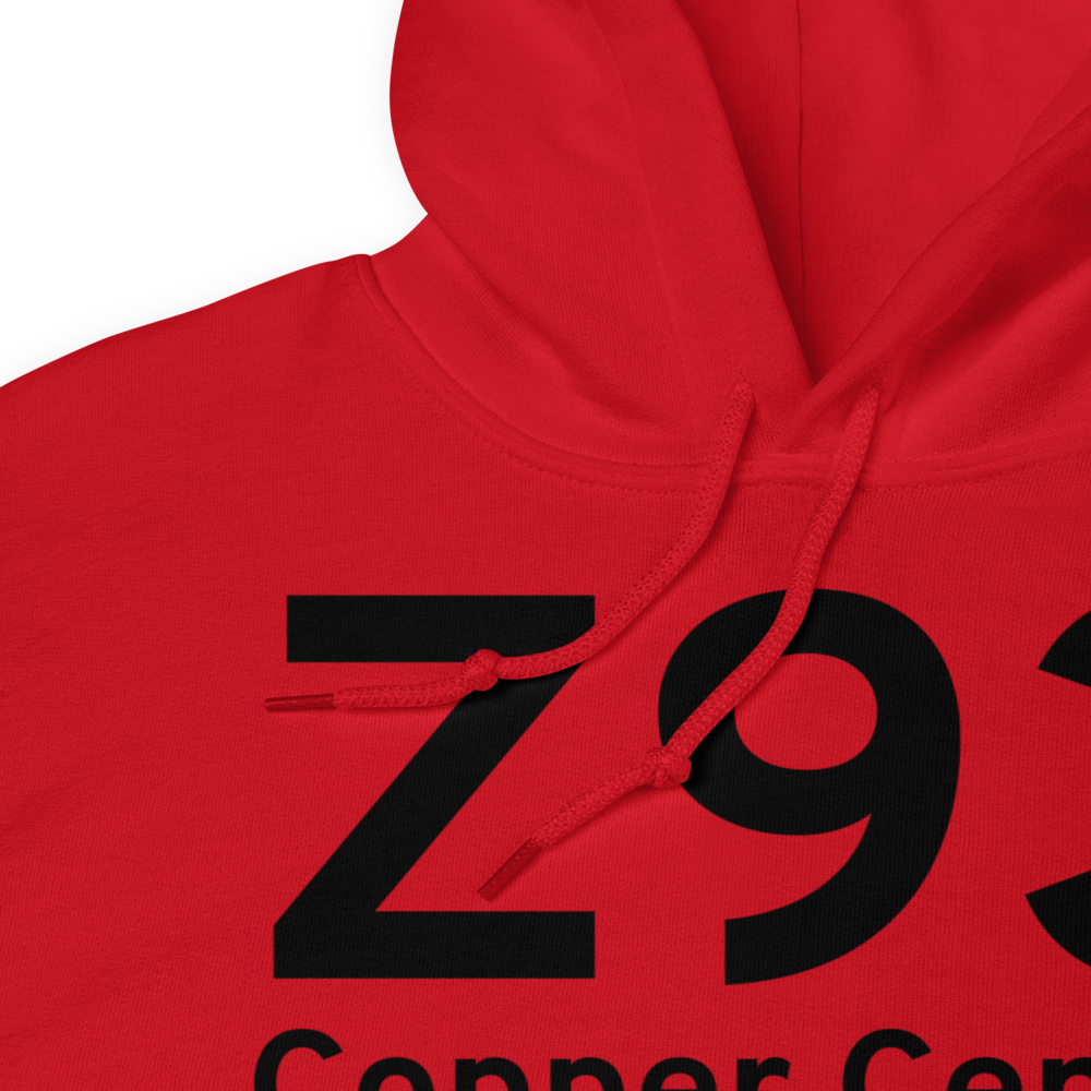 Copper Center (Z93) Airport Hoodie Sweatshirt 