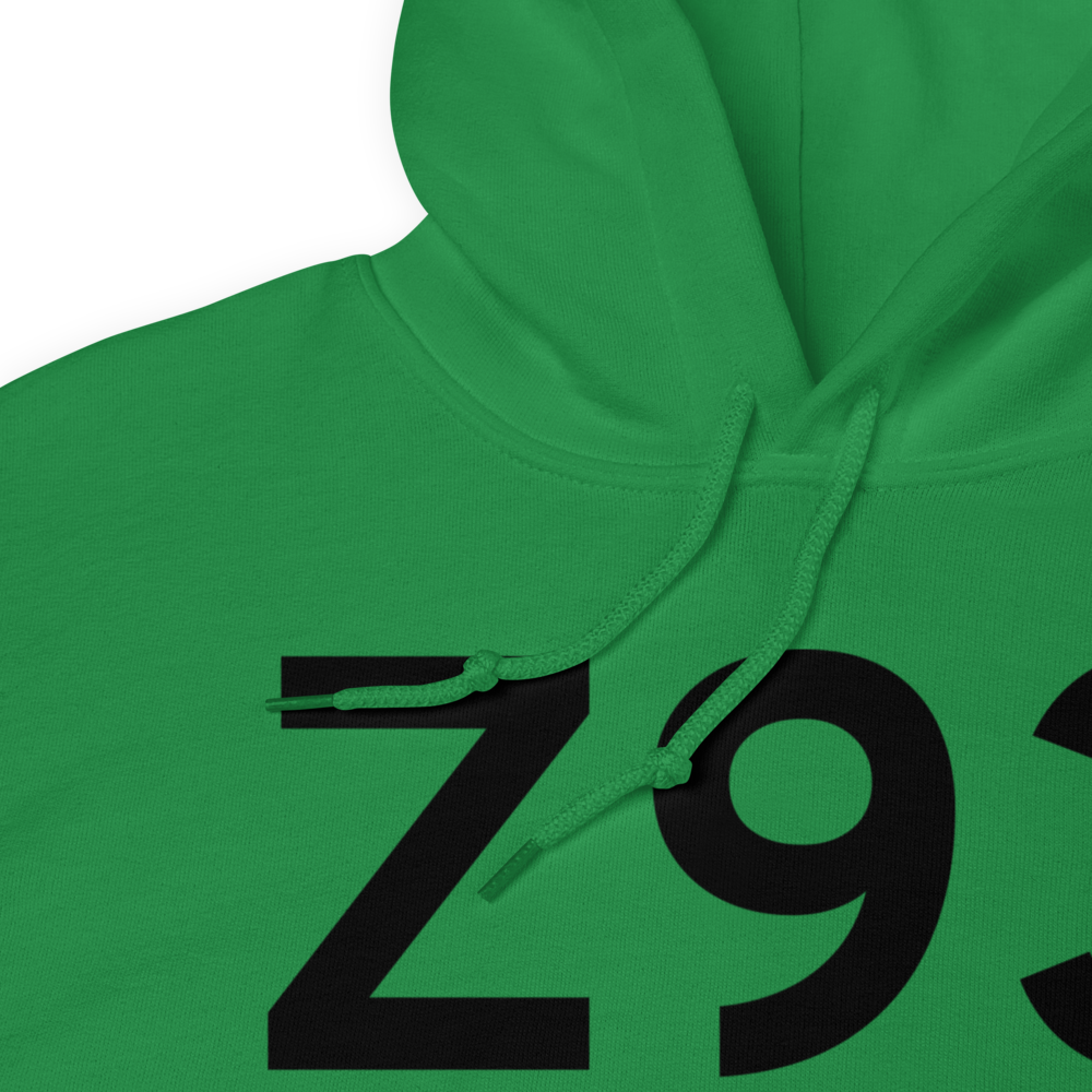 Copper Center (Z93) Airport Hoodie Sweatshirt 