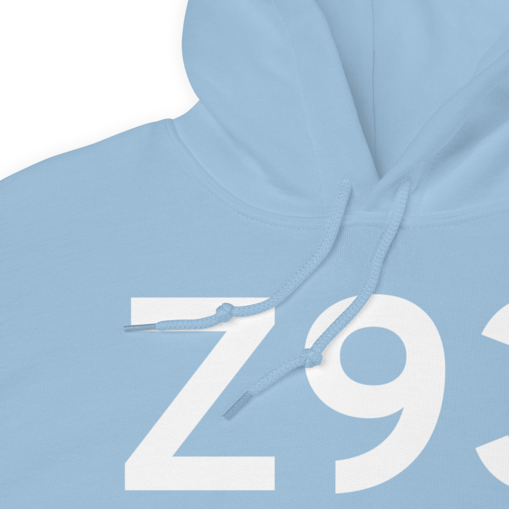 Copper Center (Z93) Airport Hoodie Sweatshirt 