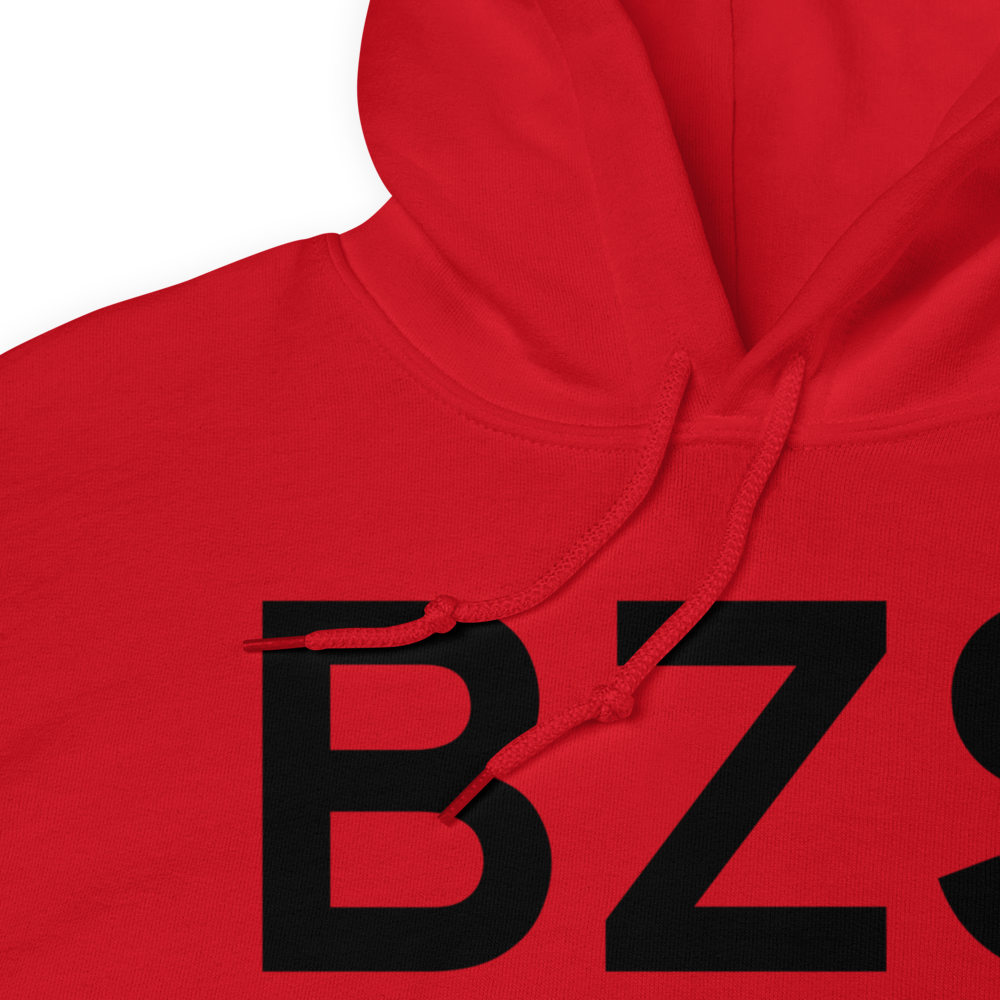 Washington (BZS) Airport Hoodie Sweatshirt 