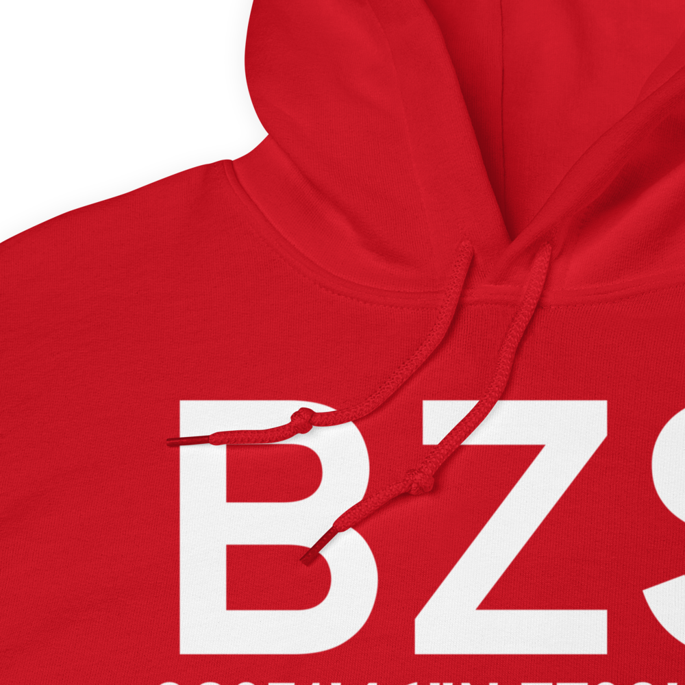 Washington (BZS) Airport Hoodie Sweatshirt 