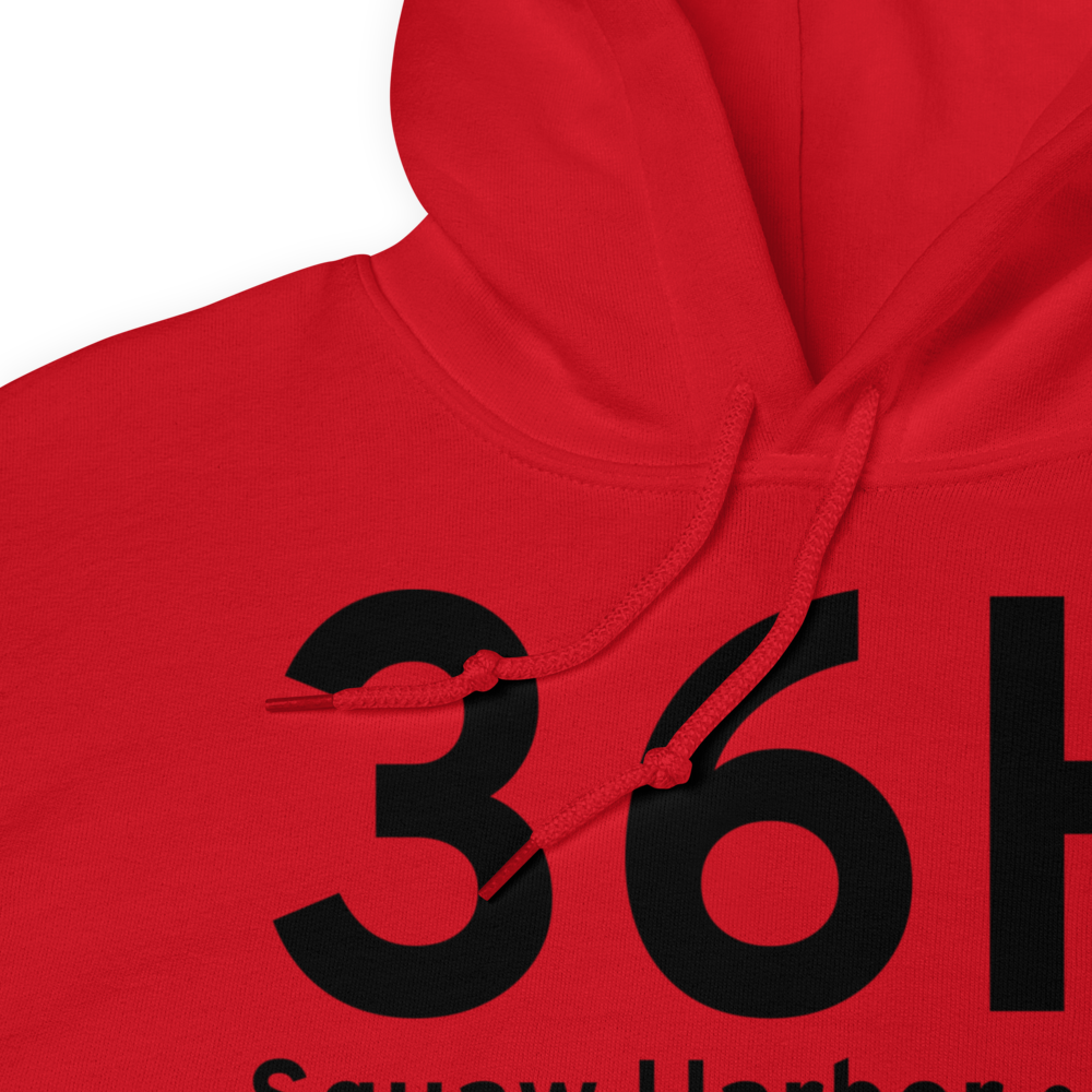 Squaw Harbor (36H) Airport Hoodie Sweatshirt 
