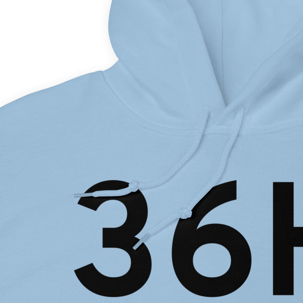 Squaw Harbor (36H) Airport Hoodie Sweatshirt 