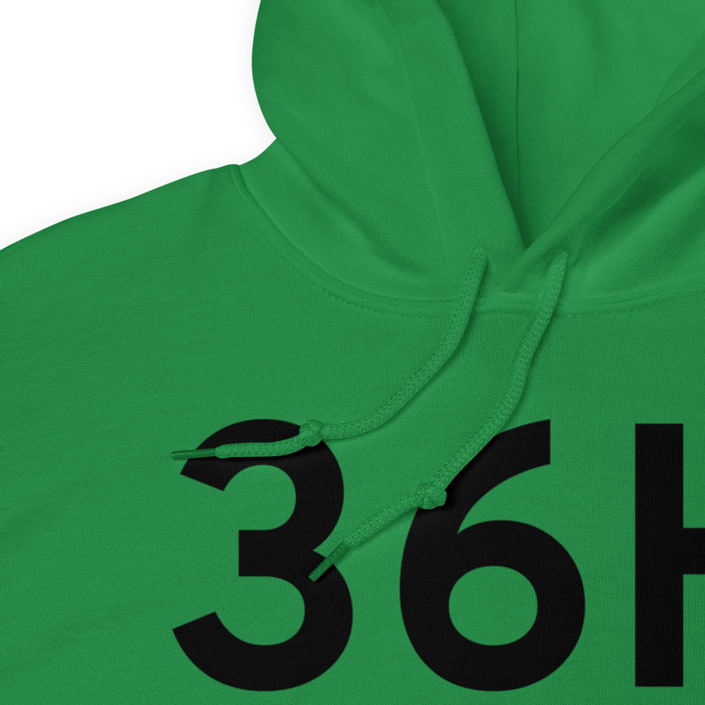 Squaw Harbor (36H) Airport Hoodie Sweatshirt 