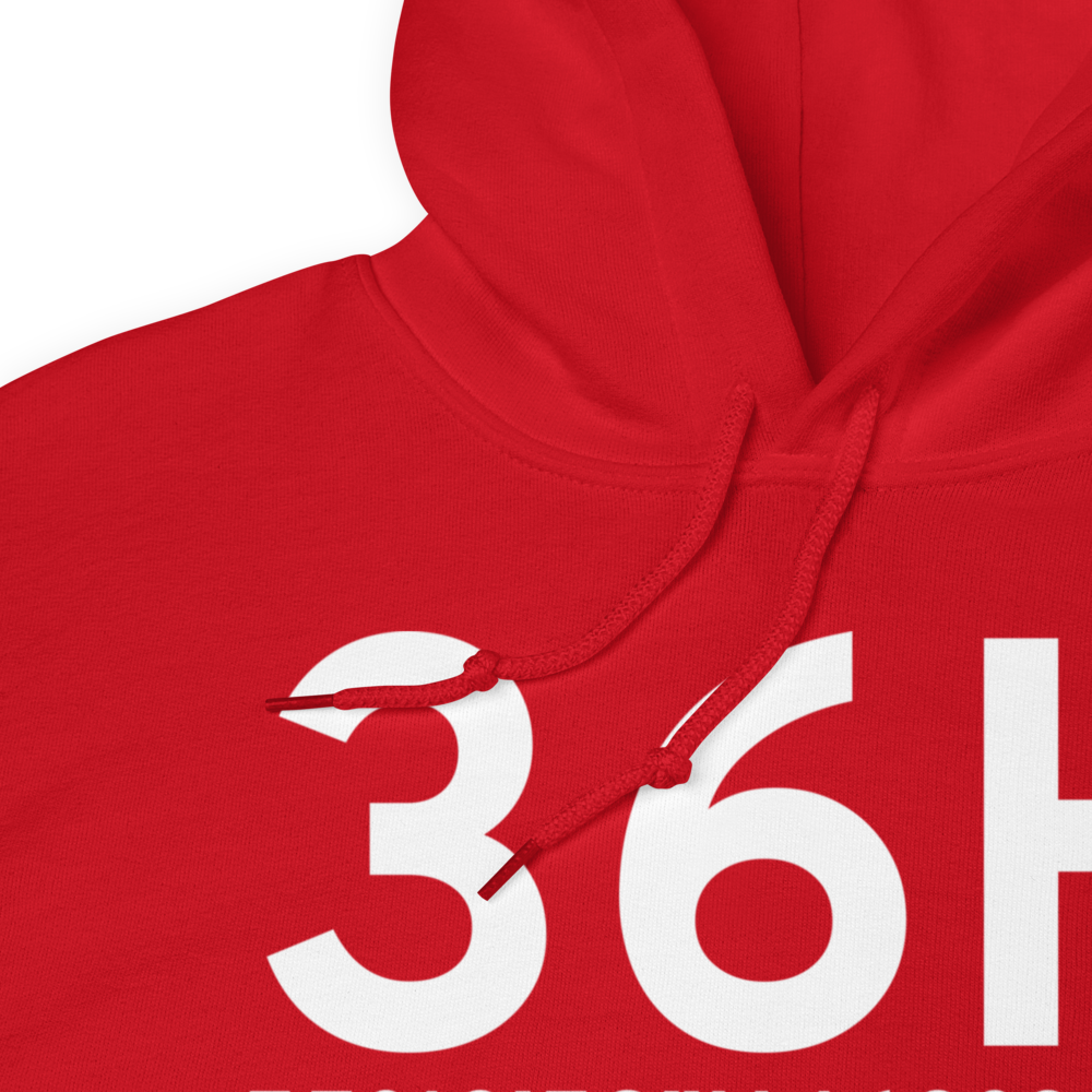 Squaw Harbor (36H) Airport Hoodie Sweatshirt 