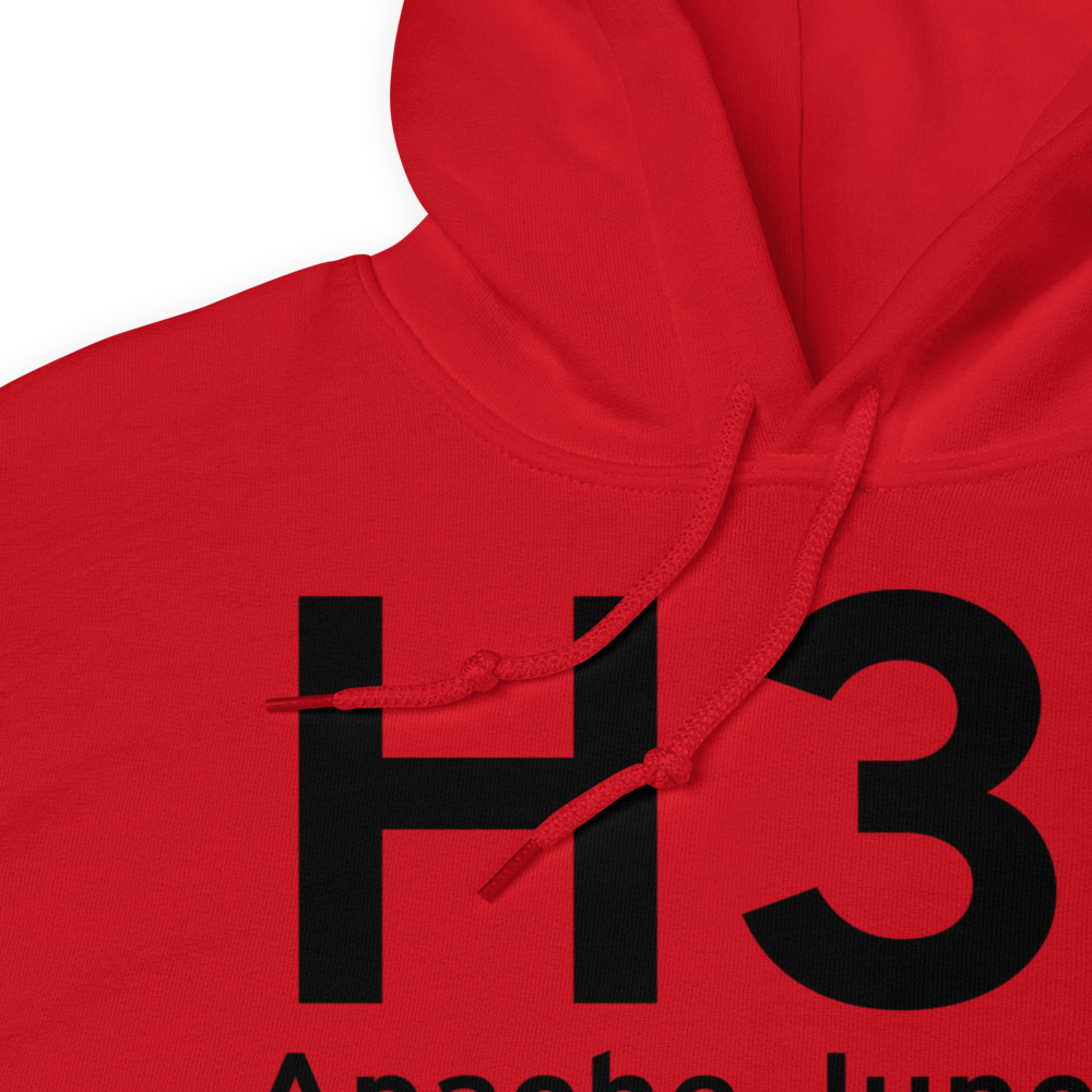 Apache Junction (H31) Airport Hoodie Sweatshirt 